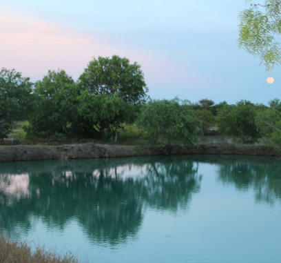 Picture of one of cotulla fish hatchery ponds