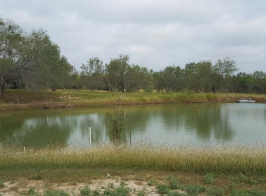 cotulla fish hatchery & rv park fishing pond