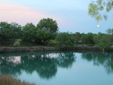 This is a picture of one of the ponds that we raise fish in