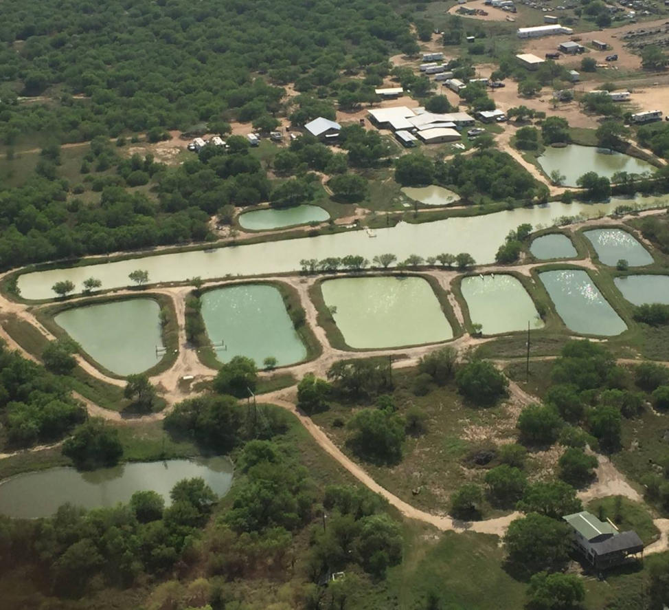 cotulla fish hatchery & rv park aerial view